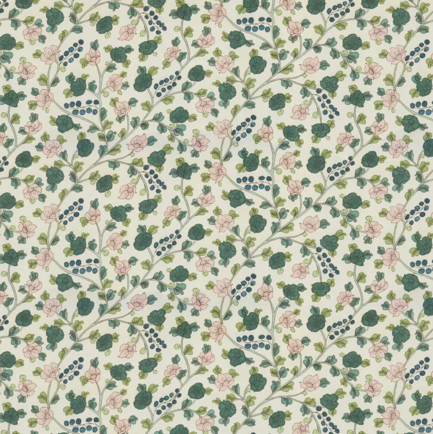 Sarah Vanrenen | Jaipur Berry