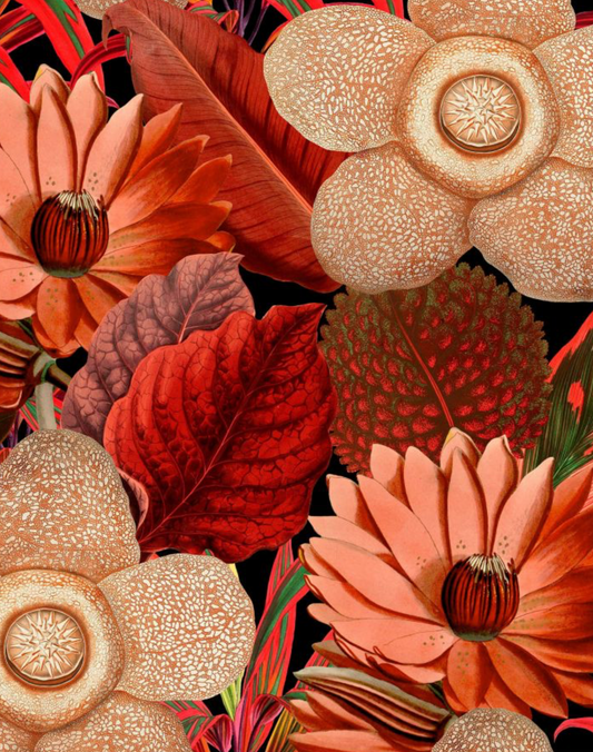 Mind the Gap | Water Lilies