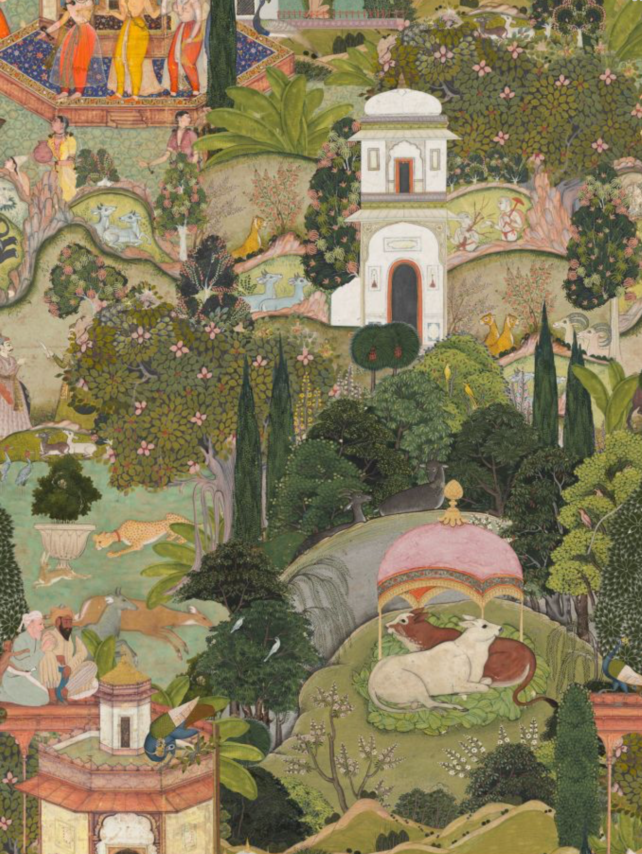 Mind the Gap | Gardens of Jaipur