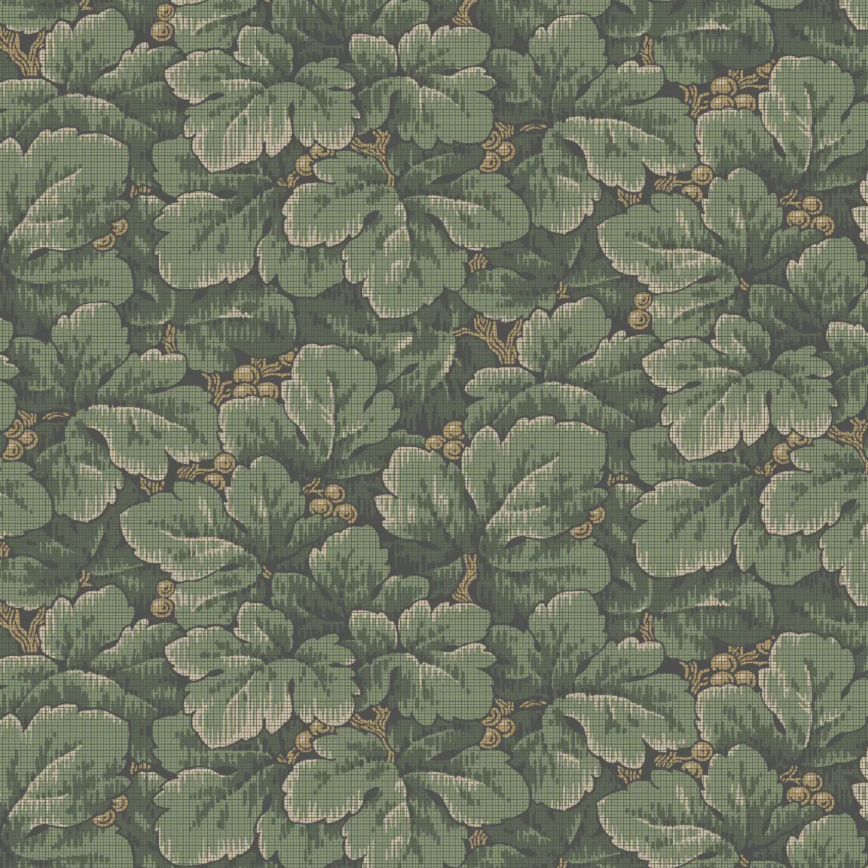 Schumacher | Waldermar