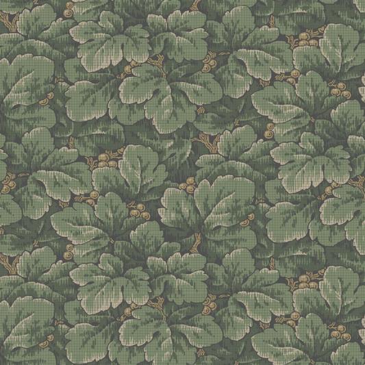 Schumacher | Waldermar