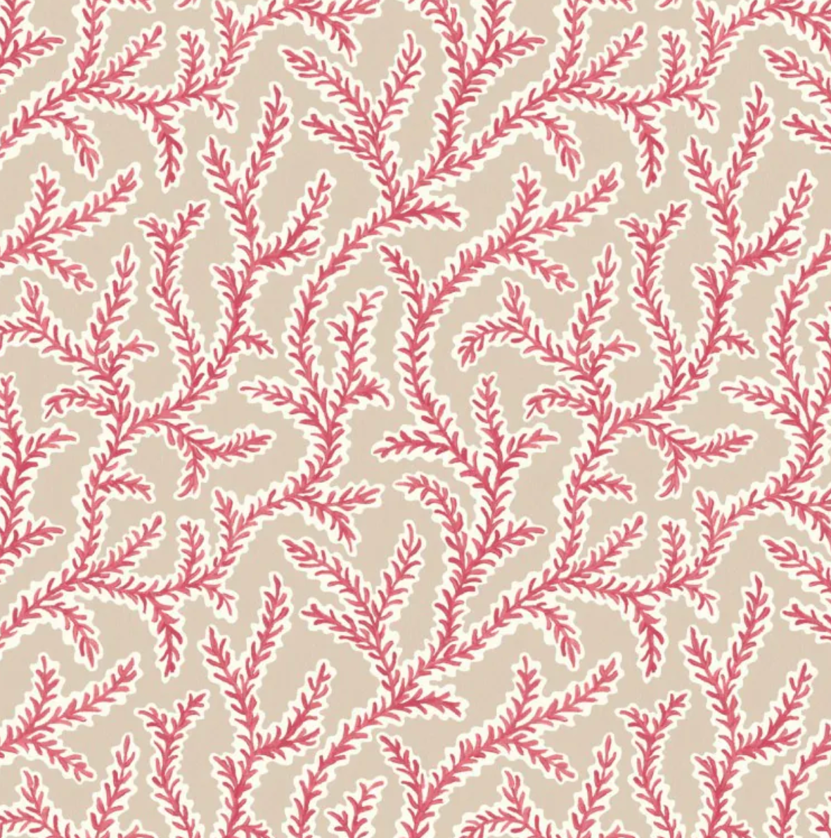 Warner House | Emeline