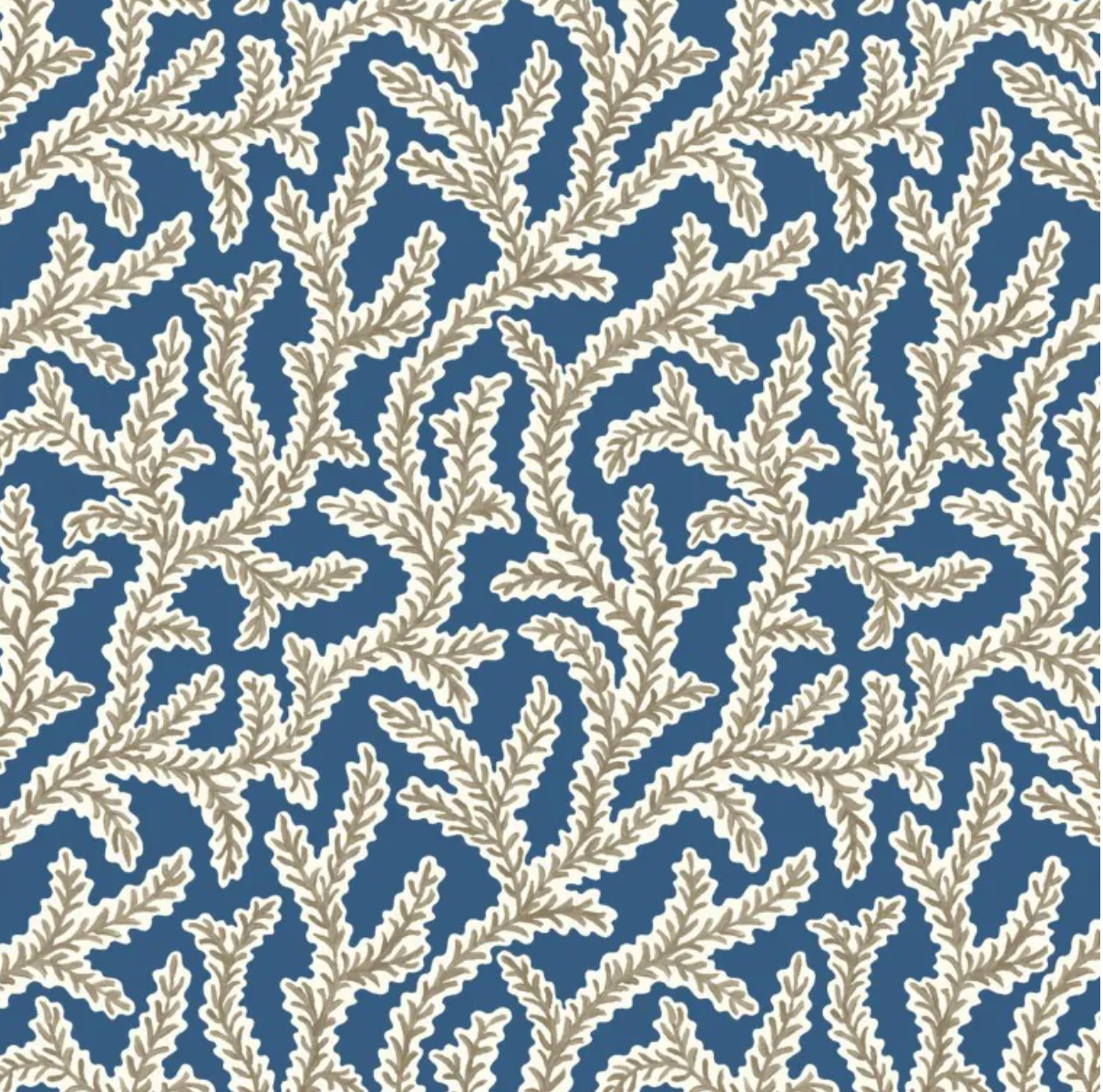 Warner House | Emeline