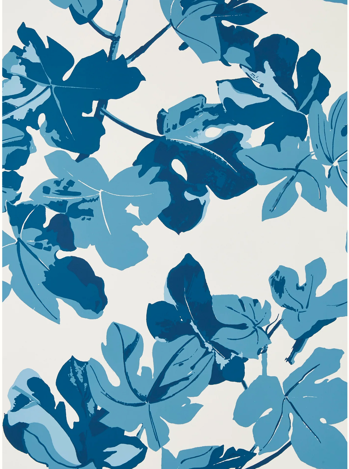 Peter Dunham | Fig Leaf