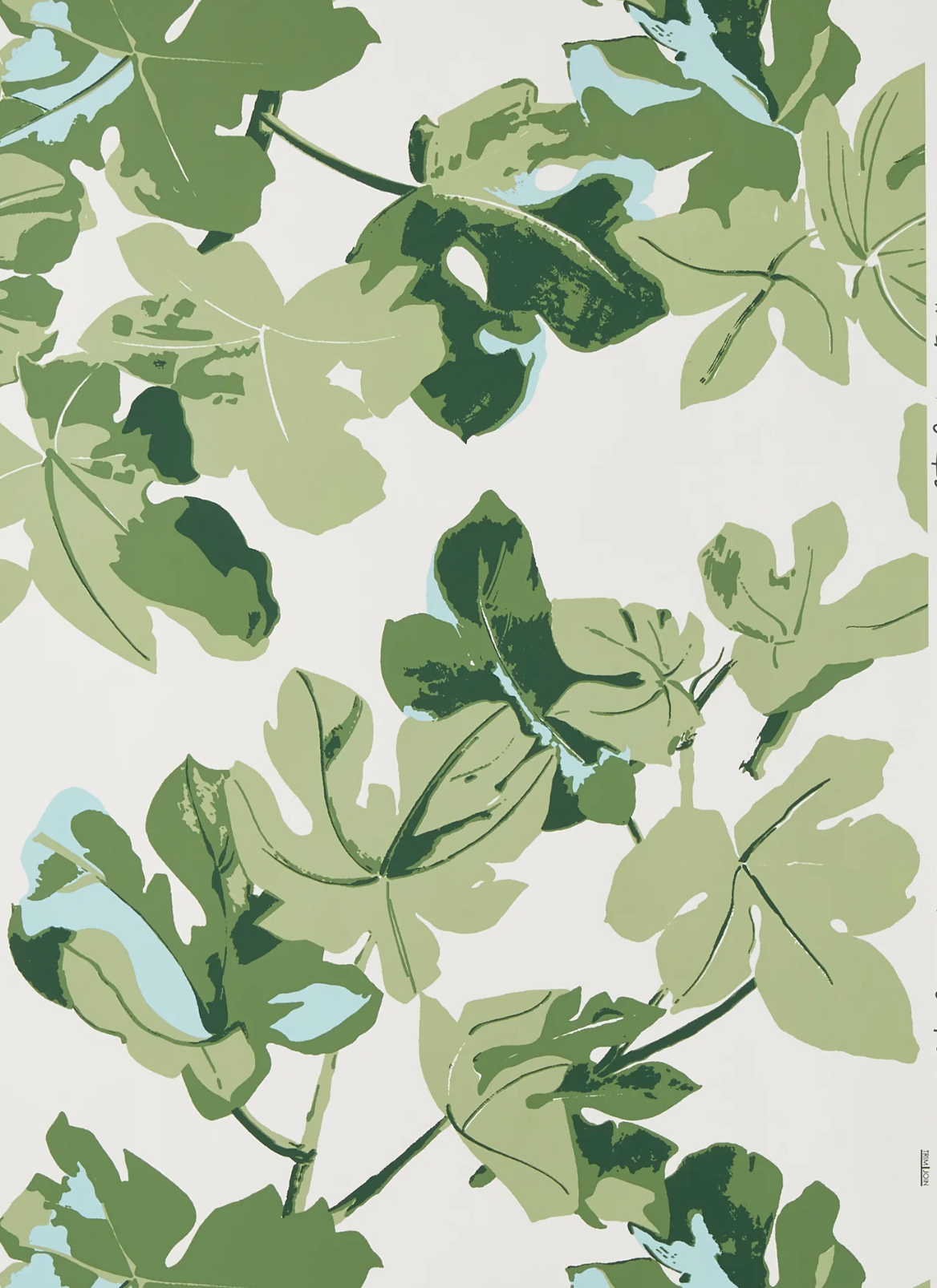 Peter Dunham | Fig Leaf