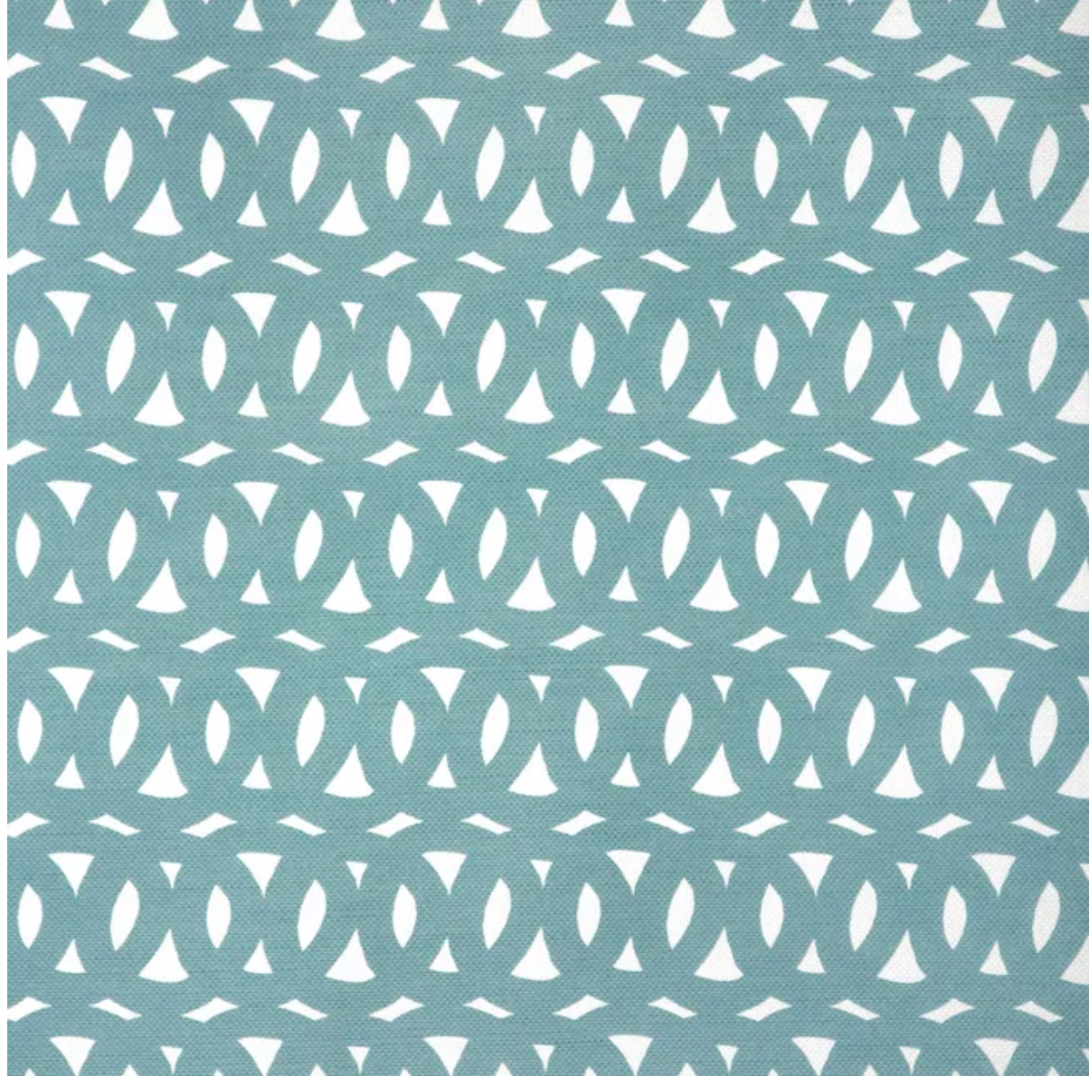 Caroline Cecil | Loop