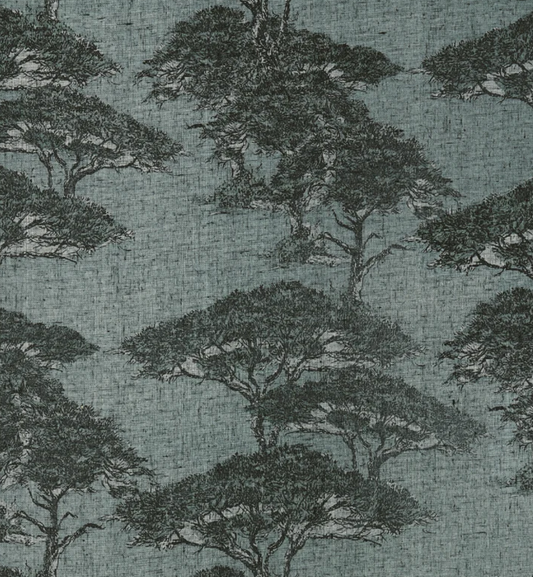 Thibaut | Torrey Pines