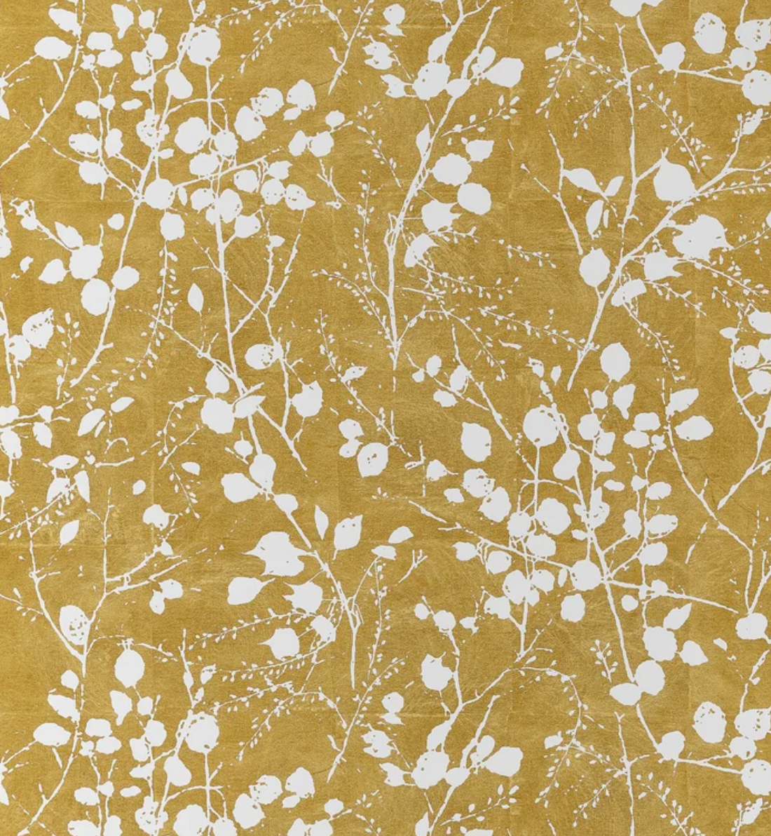 Thibaut | Katamari Bud