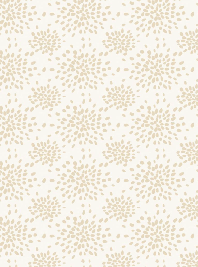 Scalamandre | Fireworks