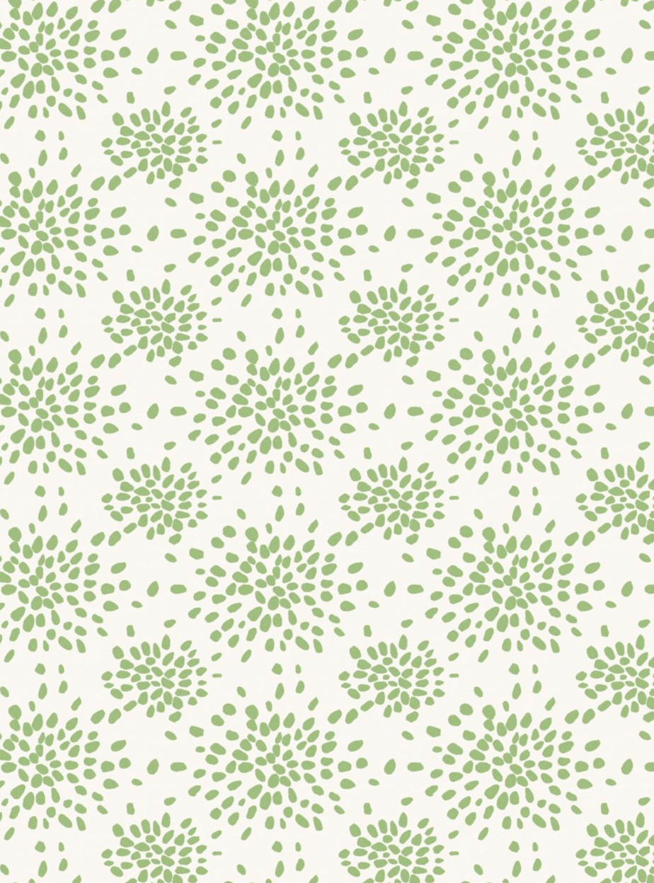 Scalamandre | Fireworks