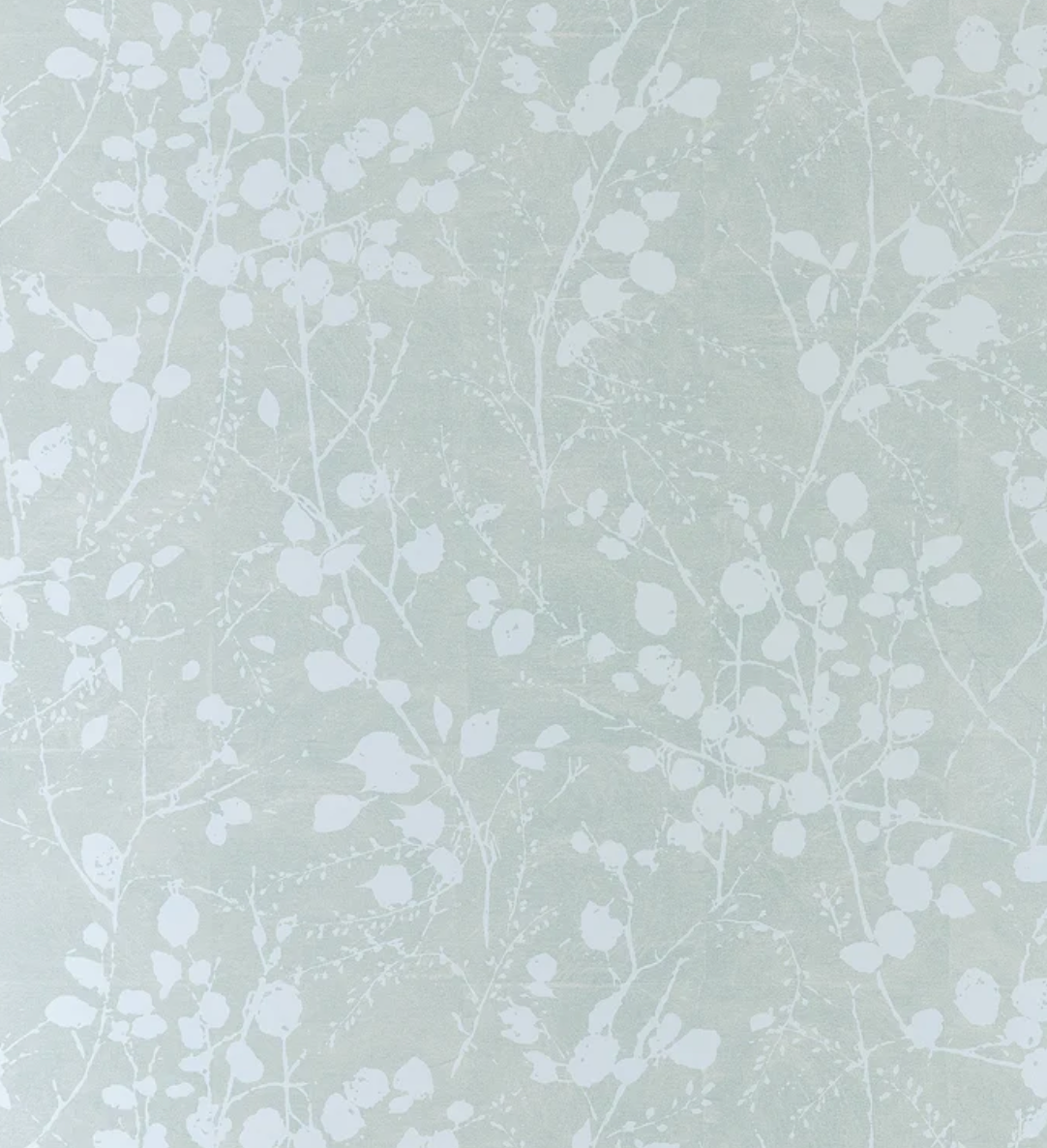 Thibaut | Katamari Bud