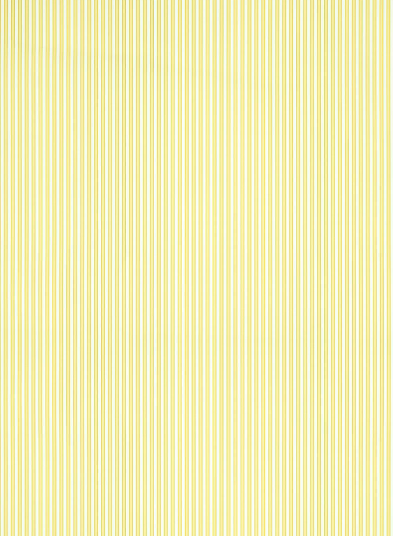 Scalamandre | Wilson Stripe