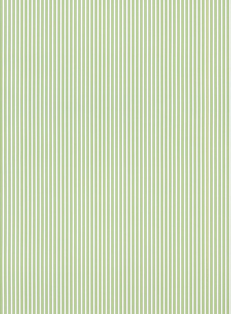 Scalamandre | Wilson Stripe