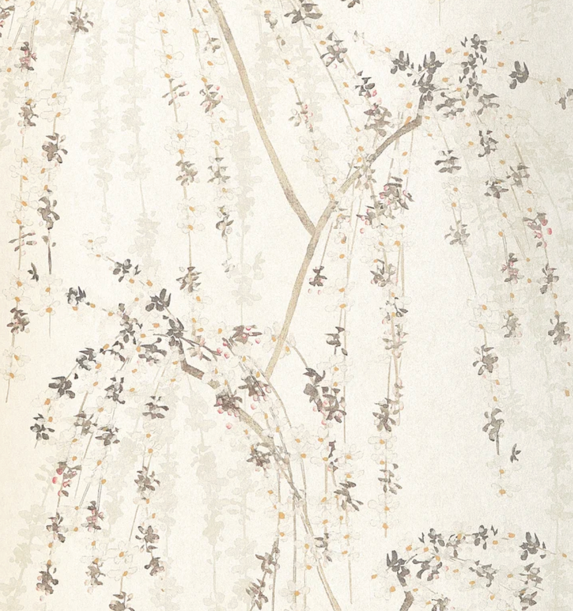 Thibaut | Weeping Blossom