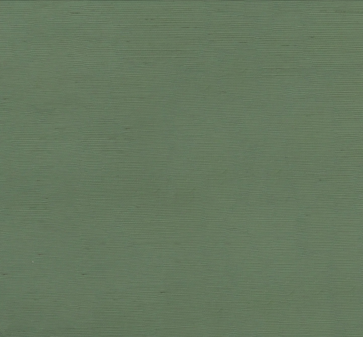 Papier | Grasscloth (Wallpaper)