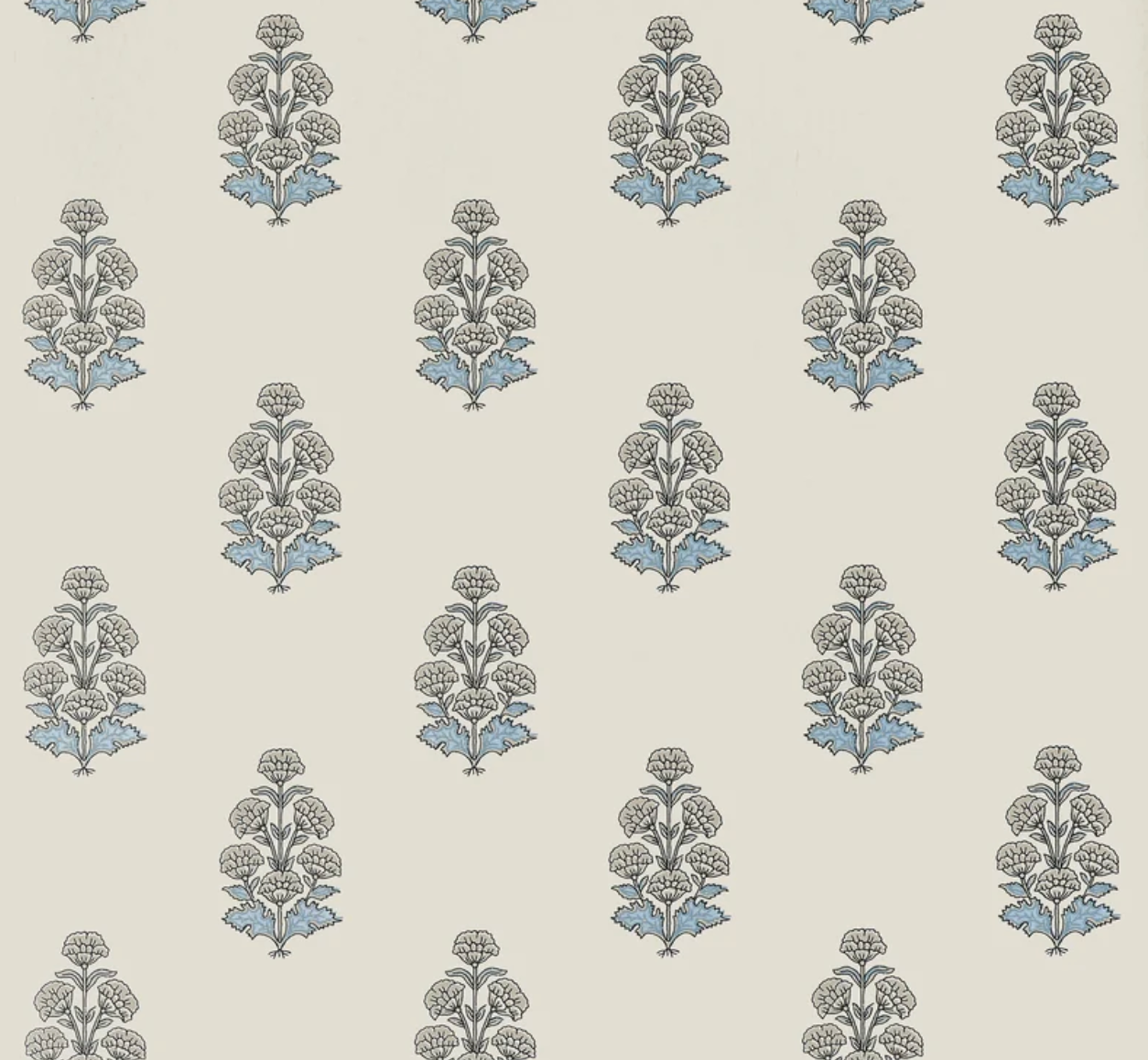 Thibaut | Audrey