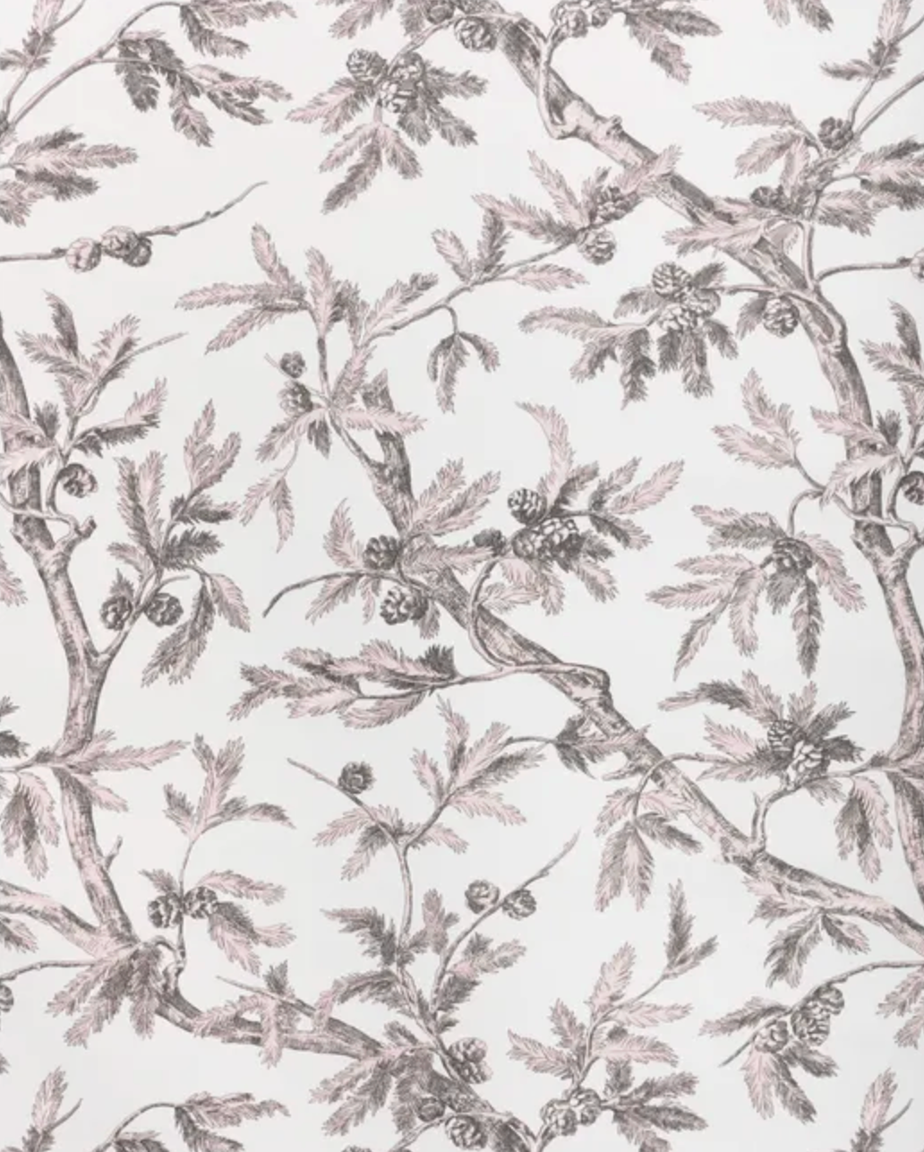 Brunschwig and Fils | Branches de Pin