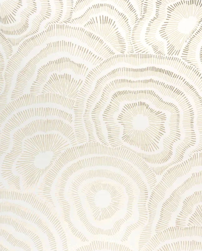 Kravet | Panache