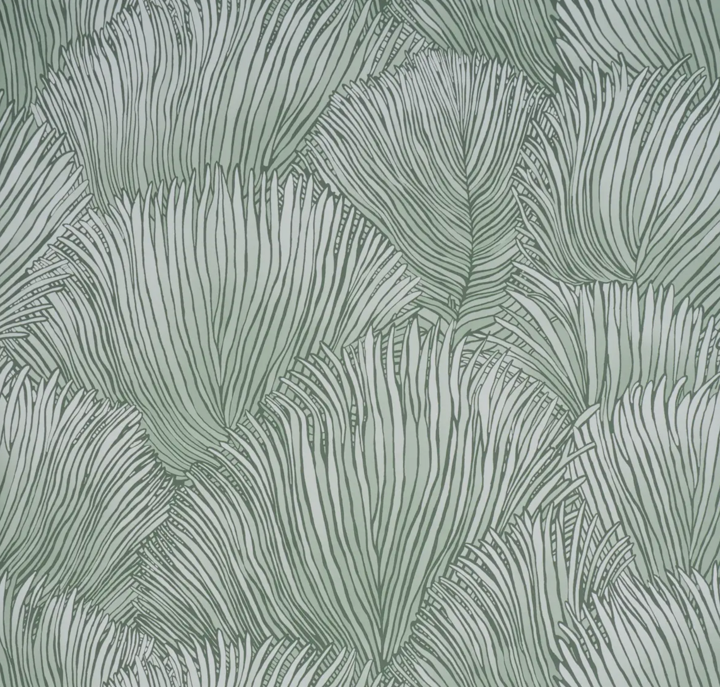 Schumacher | Fondale