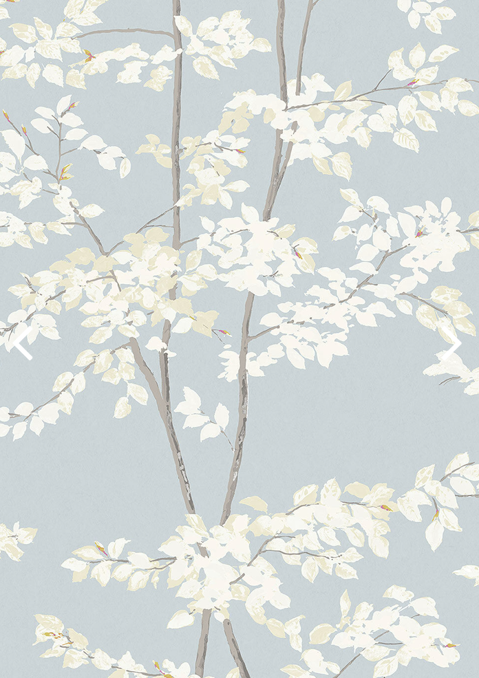 Lewis & Wood | Beech