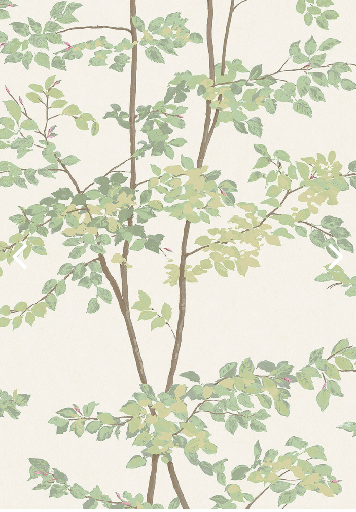 Lewis & Wood | Beech