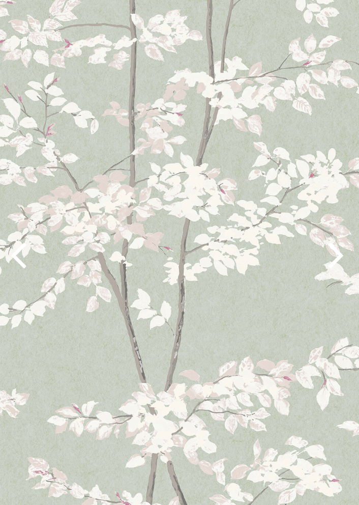 Lewis & Wood | Beech