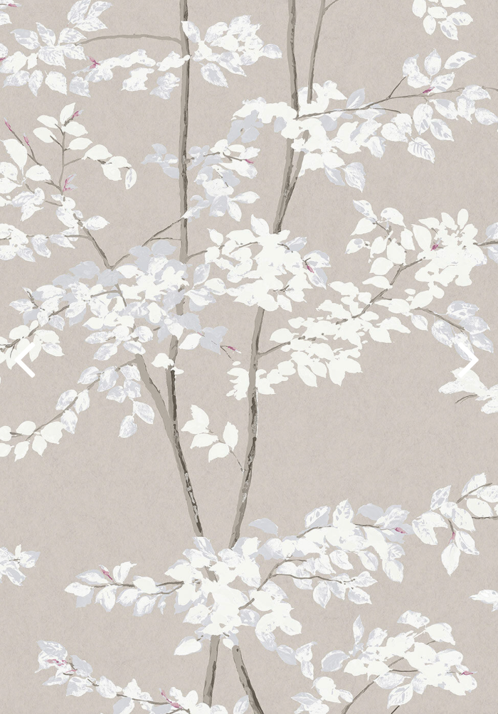 Lewis & Wood | Beech