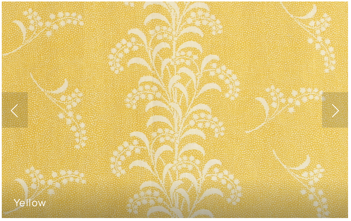 Carolina Irving | Mimosa vine