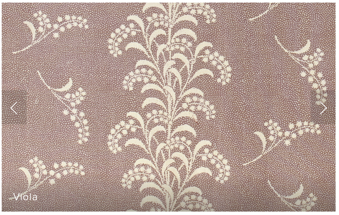 Carolina Irving | Mimosa vine