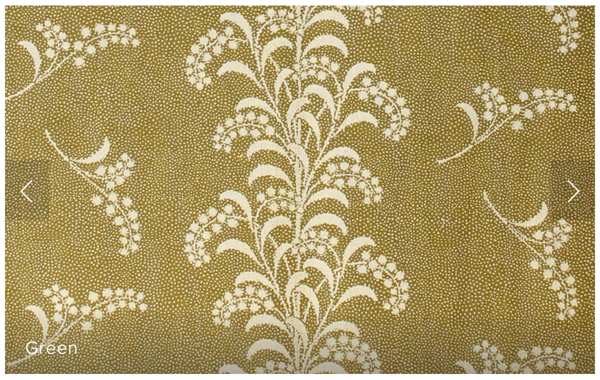 Carolina Irving | Mimosa vine