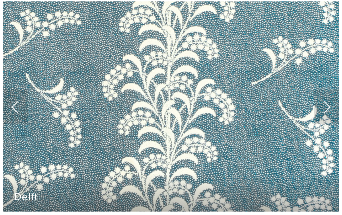 Carolina Irving | Mimosa vine