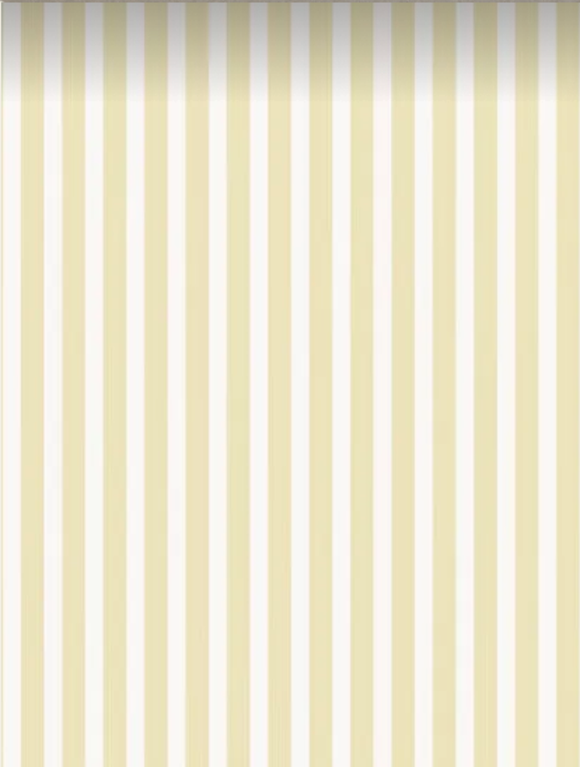 Farrow & Ball | Closet Stripe