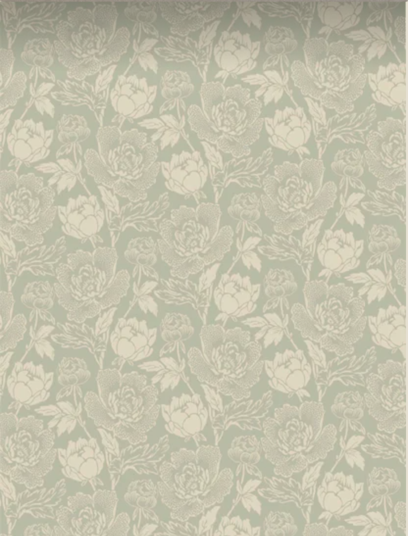 Farrow & Ball | Peony