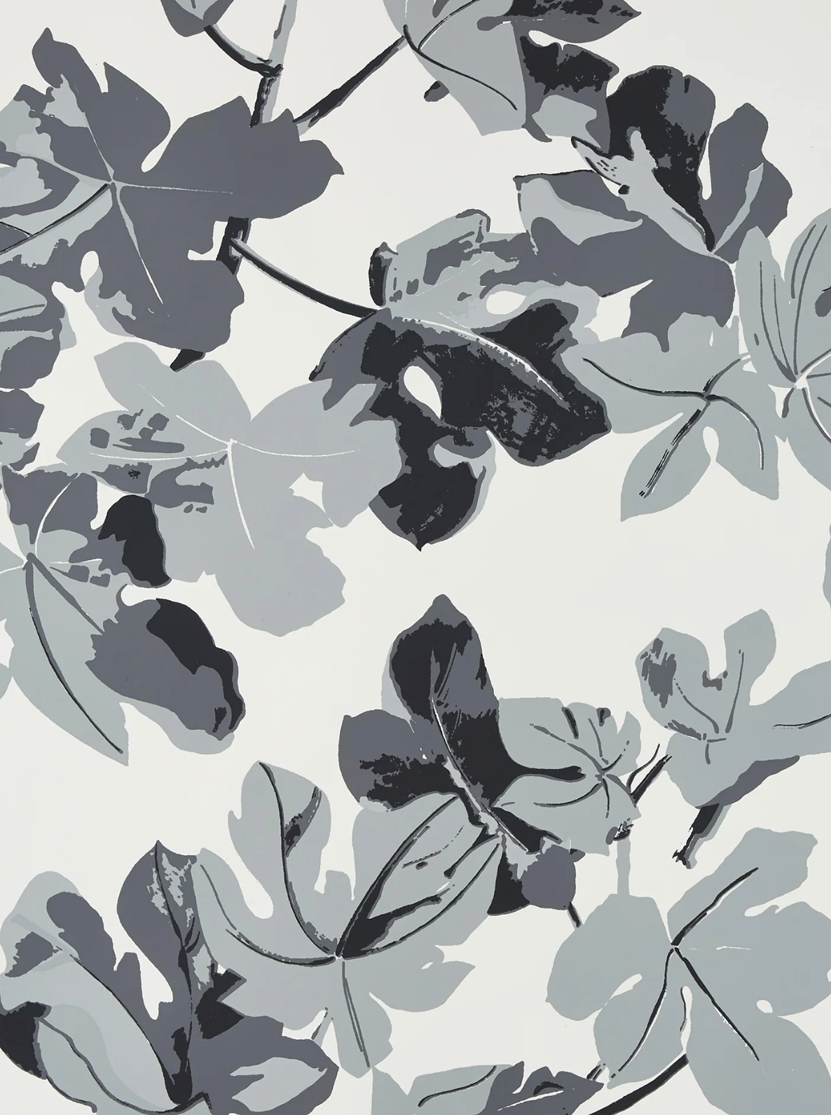 Peter Dunham | Fig Leaf