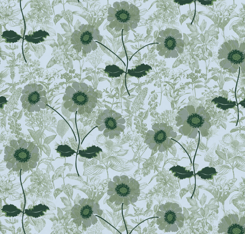 Peter Fasano | Bloom