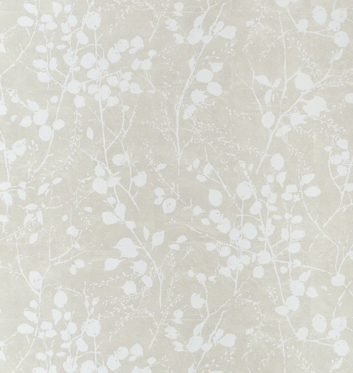 Thibaut | Katamari Bud