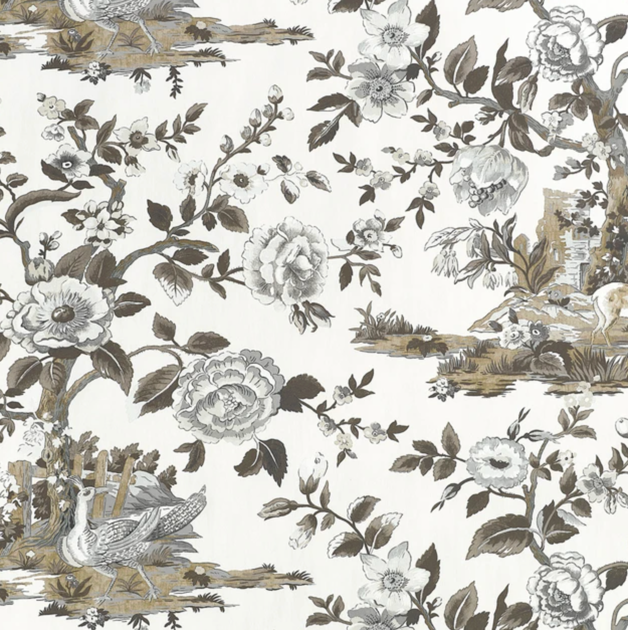 Thibaut | Forest Lodge