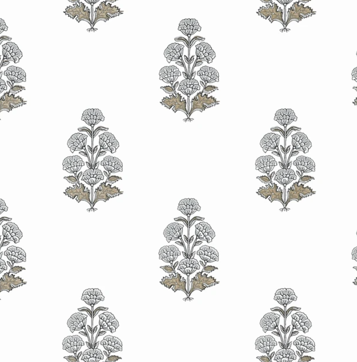 Thibaut | Audrey
