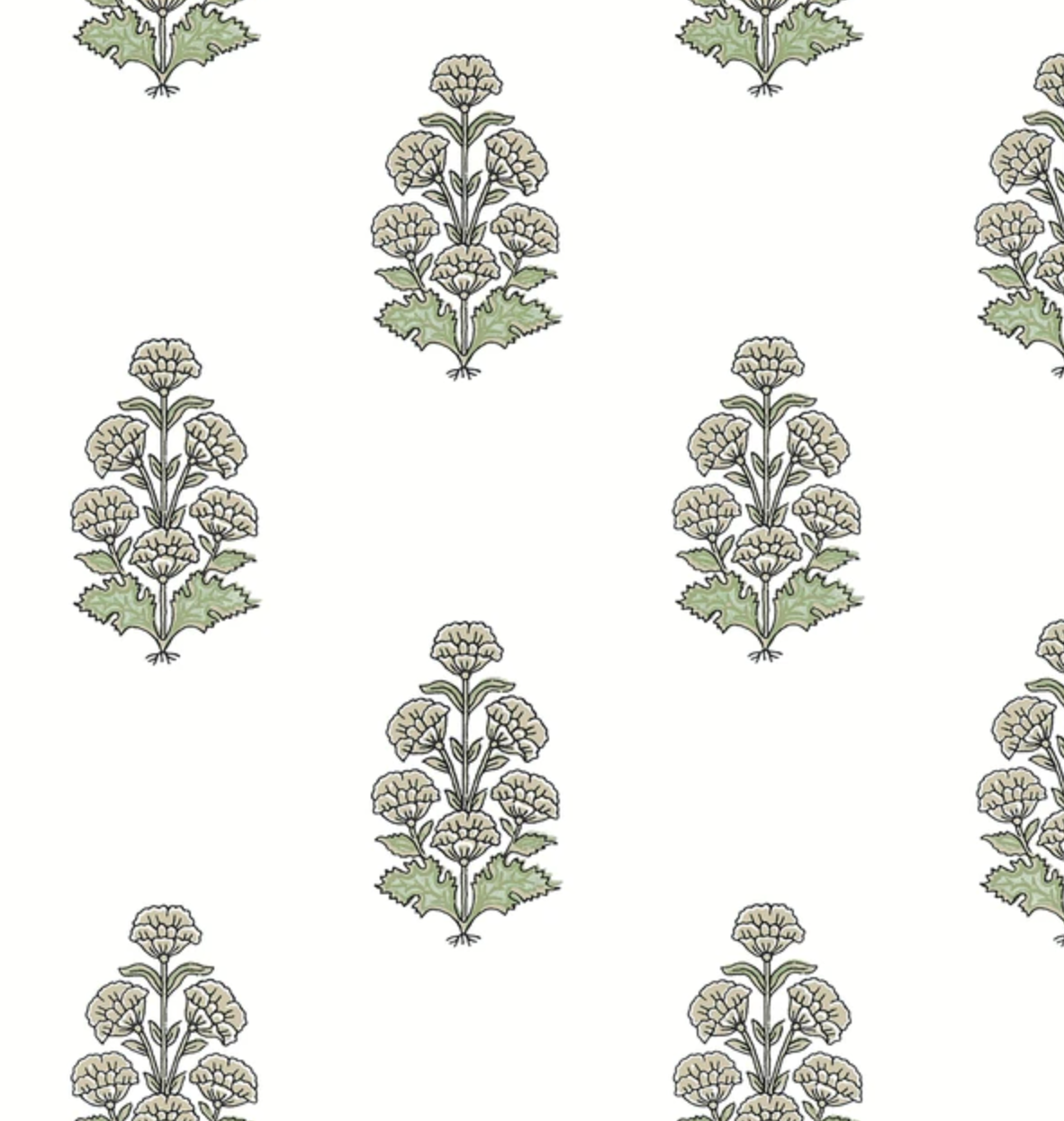 Thibaut | Audrey
