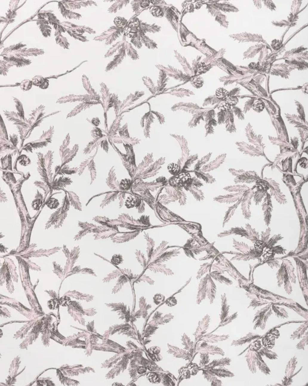 Brunschwig and Fils | Branches de Pin