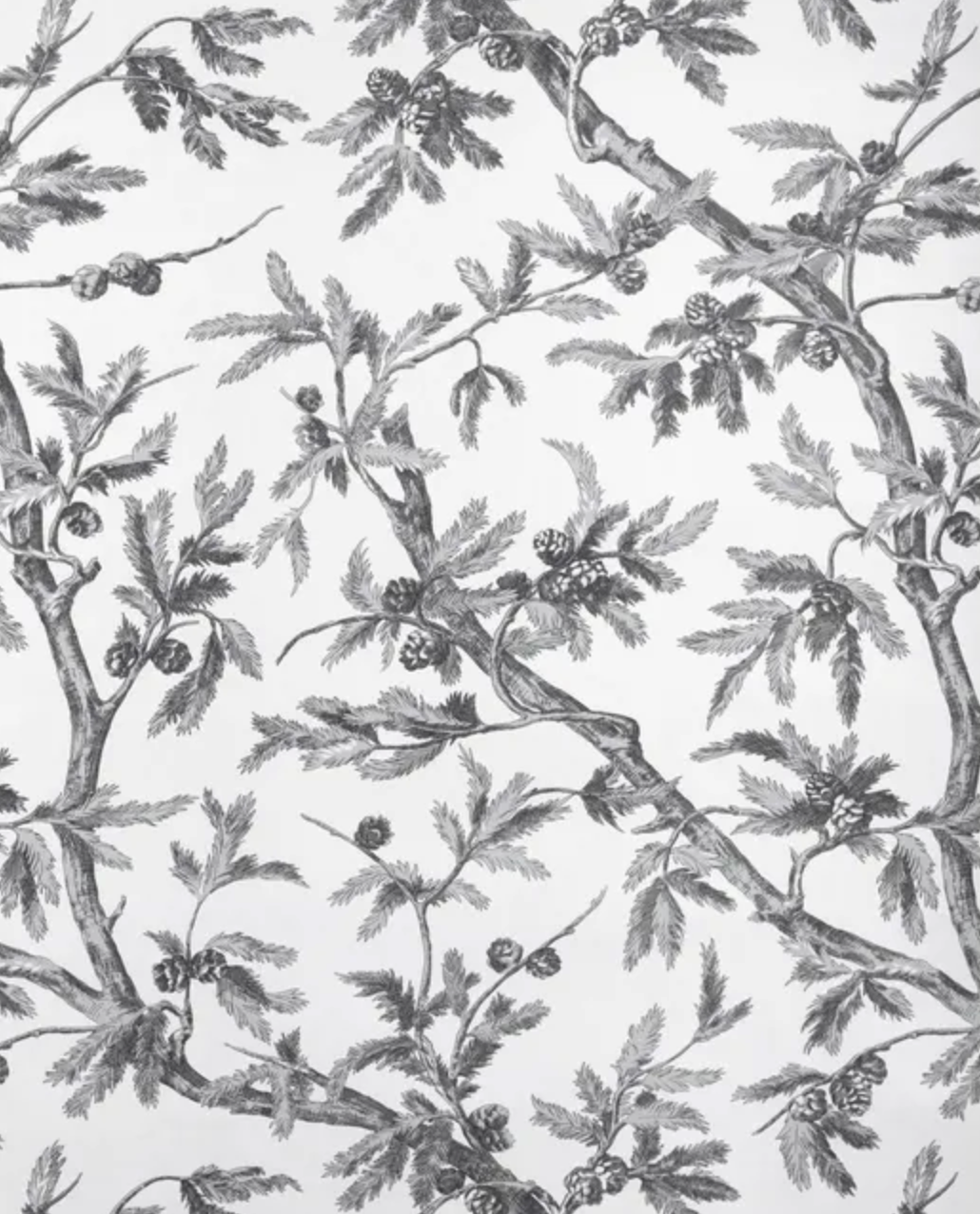 Brunschwig and Fils | Branches de Pin