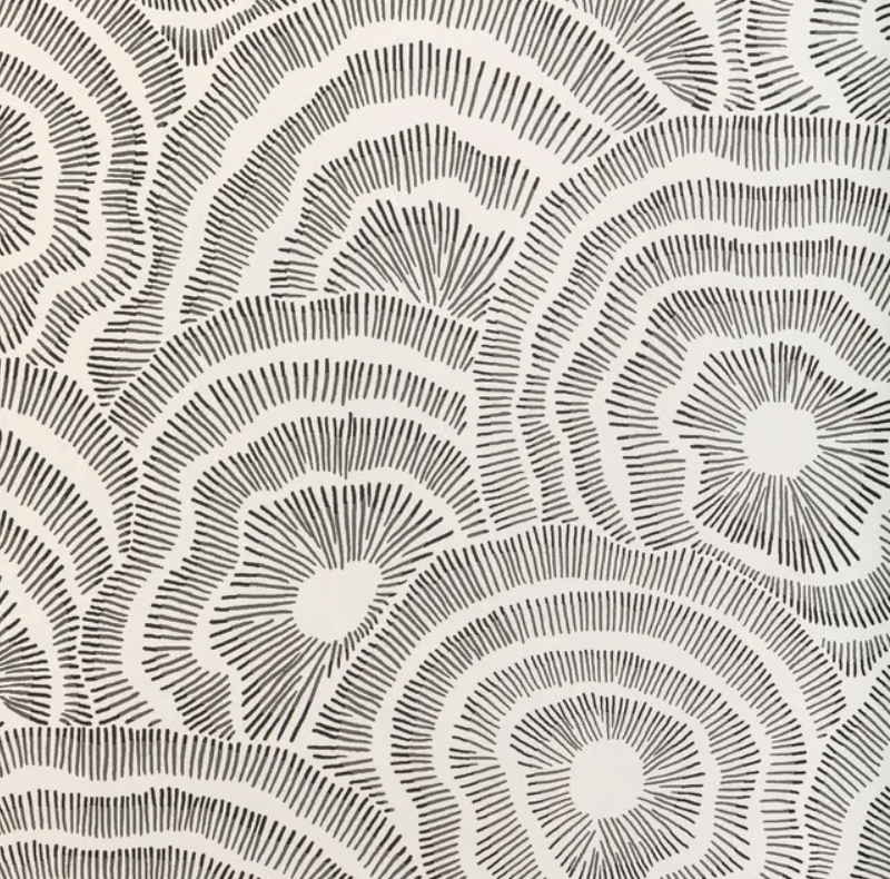 Kravet | Panache
