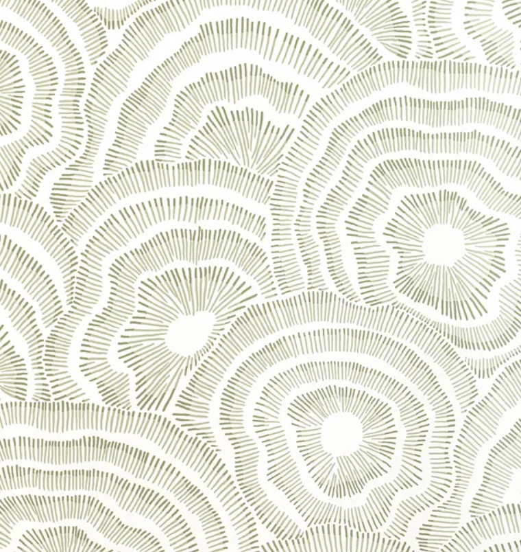 Kravet | Panache