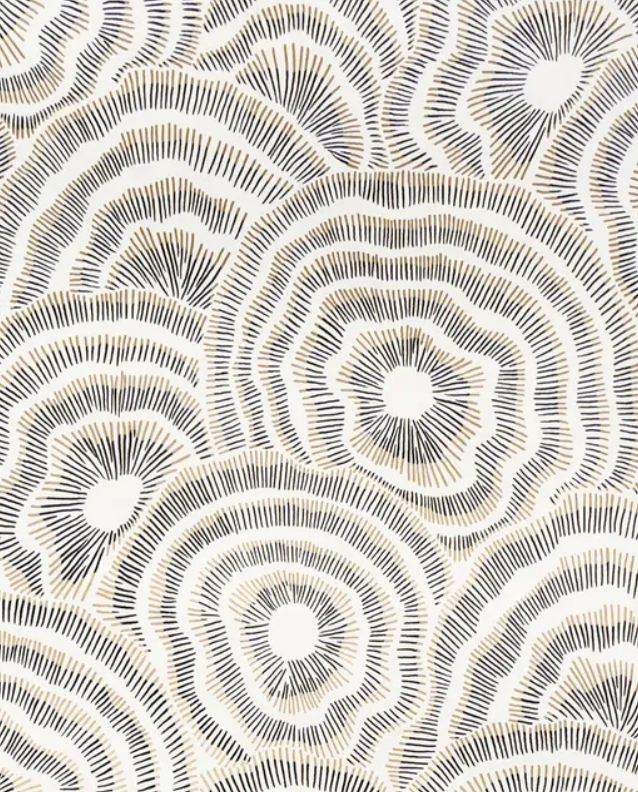 Kravet | Panache