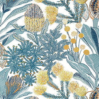 Thibaut | Protea