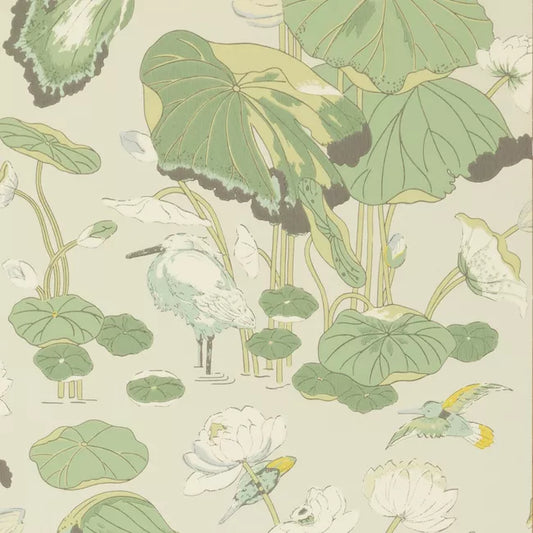 GP & J Baker | Nympheus Botanical