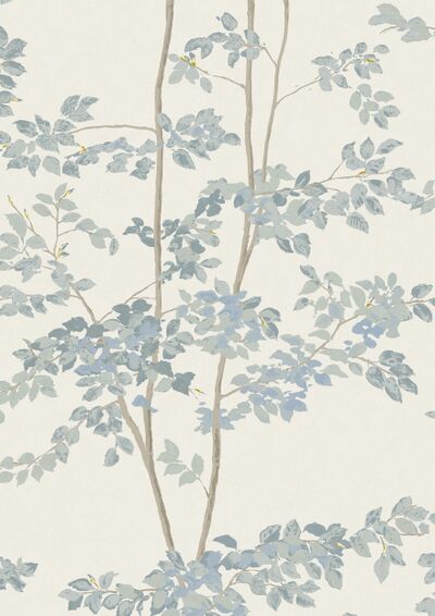 Lewis & Wood | Beech