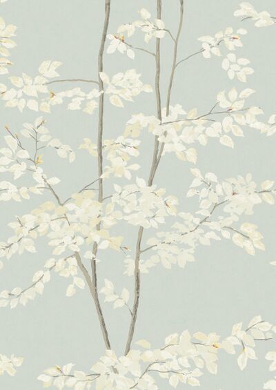 Lewis & Wood | Beech