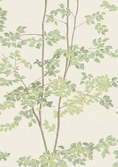 Lewis & Wood | Beech