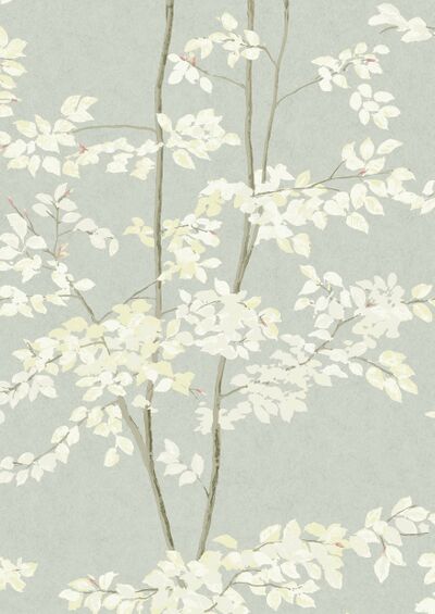 Lewis & Wood | Beech